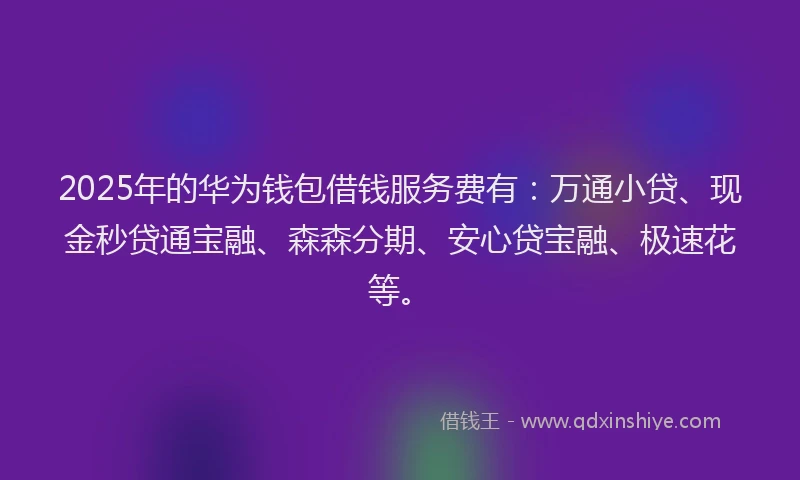 2025年的华为钱包借钱服务费有：万通小贷、现金秒贷通宝融、森森分期、安心贷宝融、极速花等。