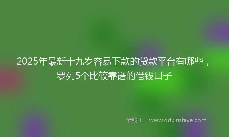 2025年最新十九岁容易下款的贷款平台有哪些，罗列5个比较靠谱的借钱口子