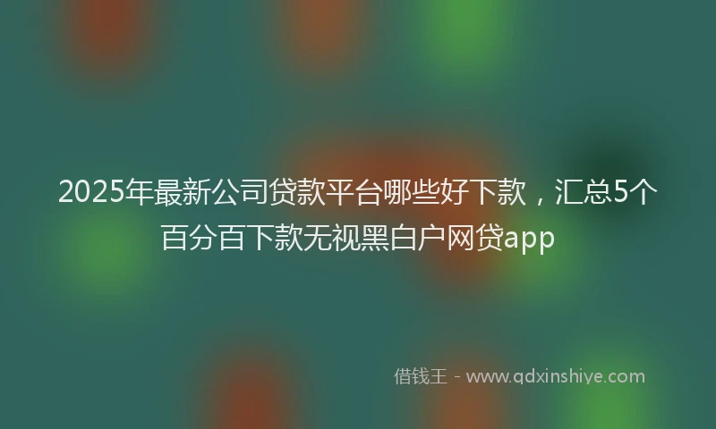 2025年最新公司贷款平台哪些好下款，汇总5个百分百下款无视黑白户网贷app