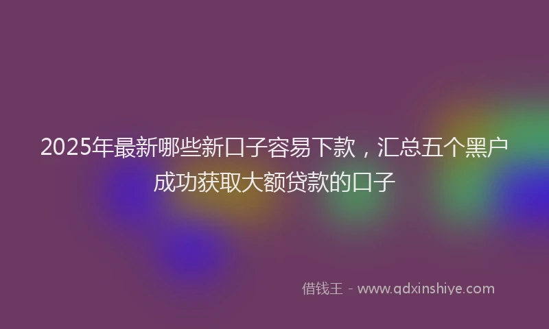2025年最新哪些新口子容易下款，汇总五个黑户成功获取大额贷款的口子
