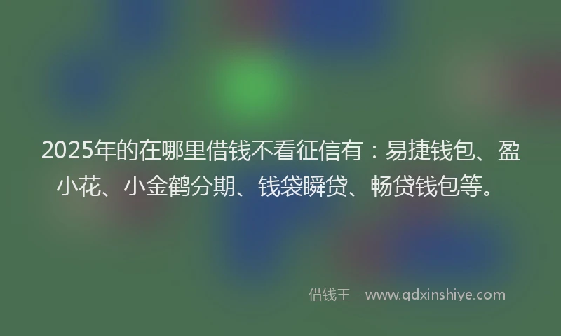 2025年的在哪里借钱不看征信有：易捷钱包、盈小花、小金鹤分期、钱袋瞬贷、畅贷钱包等。