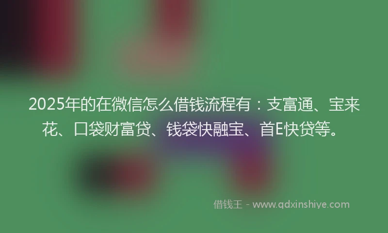 2025年的在微信怎么借钱流程有：支富通、宝来花、口袋财富贷、钱袋快融宝、首E快贷等。