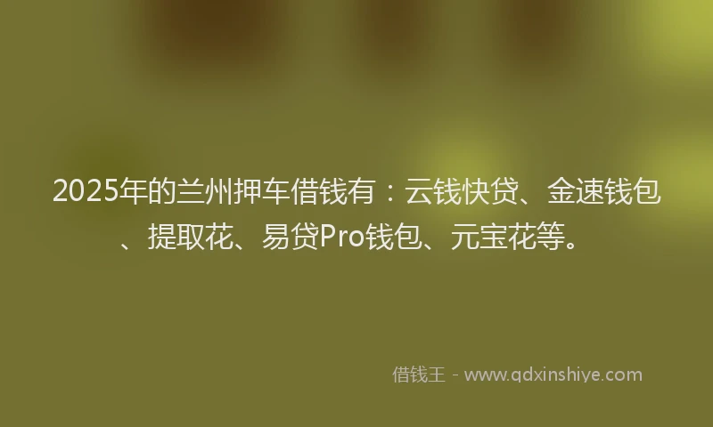 2025年的兰州押车借钱有：云钱快贷、金速钱包、提取花、易贷Pro钱包、元宝花等。