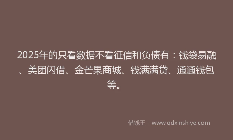 2025年的只看数据不看征信和负债有：钱袋易融、美团闪借、金芒果商城、钱满满贷、通通钱包等。