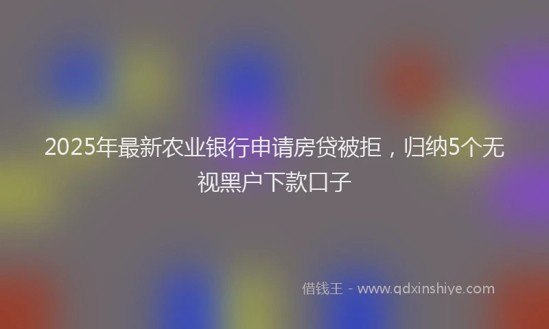 2025年最新农业银行申请房贷被拒，归纳5个无视黑户下款口子