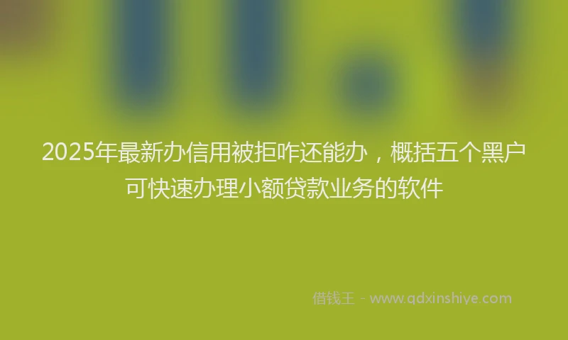 2025年最新办信用被拒咋还能办，概括五个黑户可快速办理小额贷款业务的软件