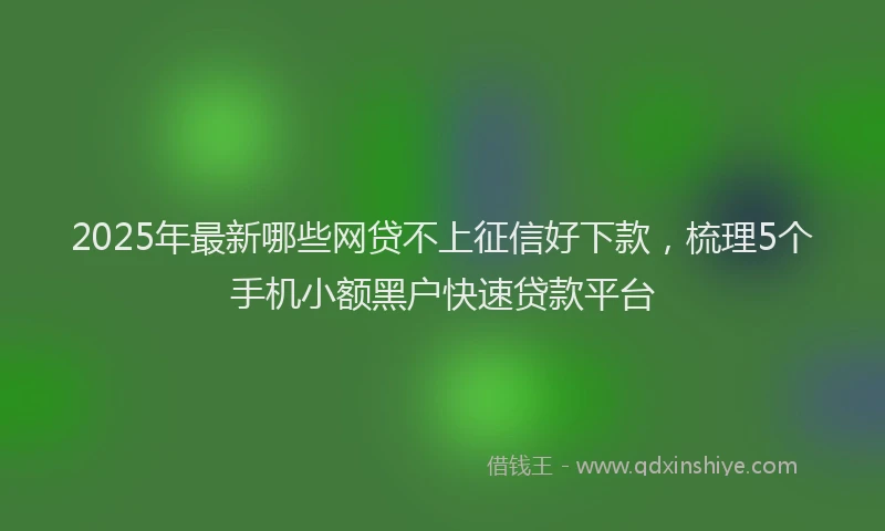 2025年最新哪些网贷不上征信好下款，梳理5个手机小额黑户快速贷款平台