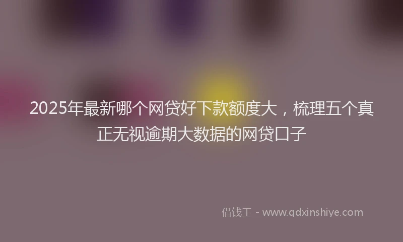 2025年最新哪个网贷好下款额度大，梳理五个真正无视逾期大数据的网贷口子