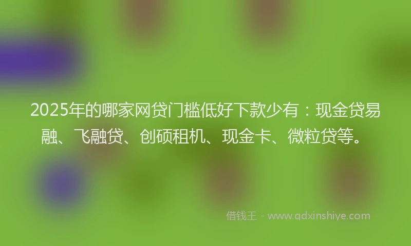 2025年的哪家网贷门槛低好下款少有：现金贷易融、飞融贷、创硕租机、现金卡、微粒贷等。