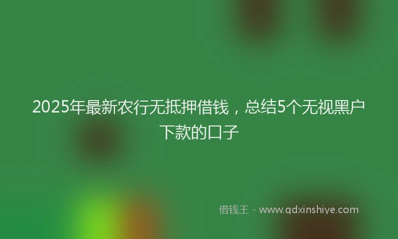 2025年最新农行无抵押借钱，总结5个无视黑户下款的口子
