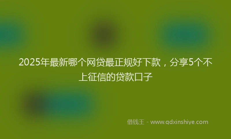 2025年最新哪个网贷最正规好下款，分享5个不上征信的贷款口子