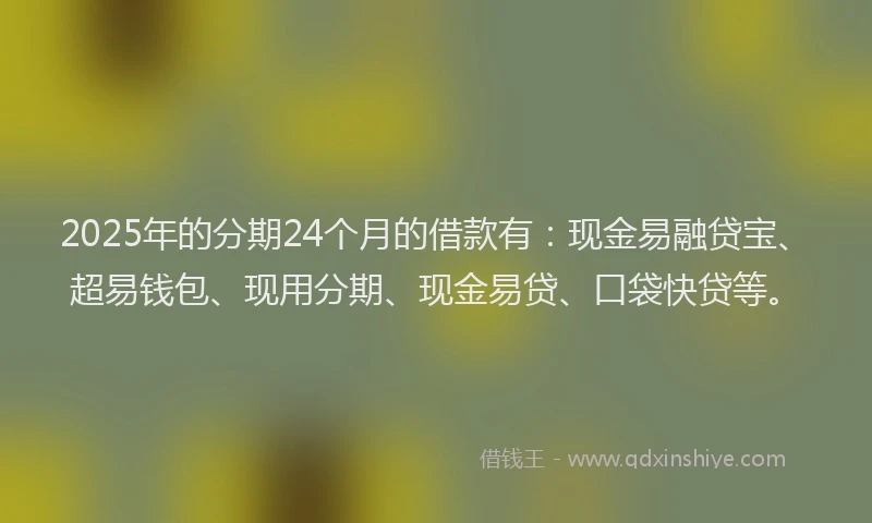 2025年的分期24个月的借款有：现金易融贷宝、超易钱包、现用分期、现金易贷、口袋快贷等。