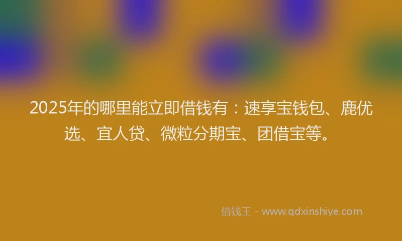 2025年的哪里能立即借钱有：速享宝钱包、鹿优选、宜人贷、微粒分期宝、团借宝等。