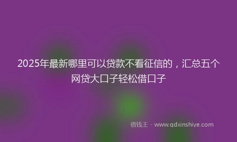 2025年最新哪里可以贷款不看征信的，汇总五个网贷大口子轻松借口子