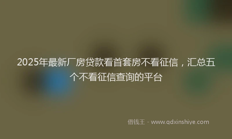 2025年最新厂房贷款看首套房不看征信，汇总五个不看征信查询的平台