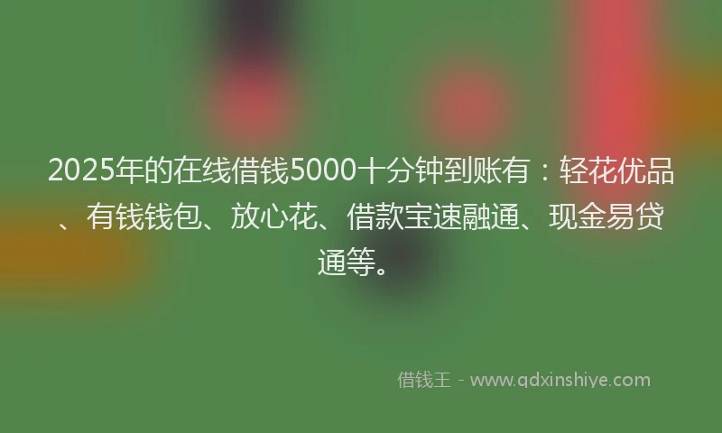 2025年的在线借钱5000十分钟到账有：轻花优品、有钱钱包、放心花、借款宝速融通、现金易贷通等。