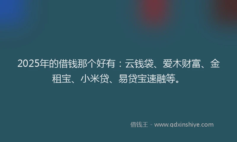 2025年的借钱那个好有：云钱袋、爱木财富、金租宝、小米贷、易贷宝速融等。