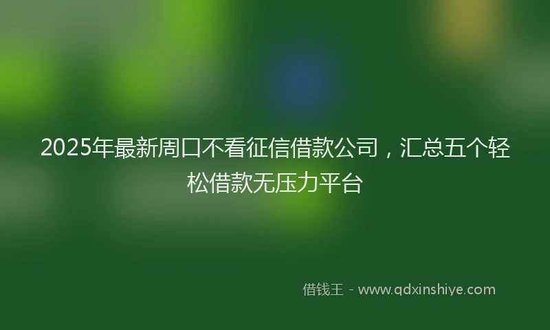 2025年最新周口不看征信借款公司，汇总五个轻松借款无压力平台