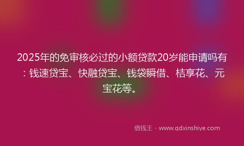2025年的免审核必过的小额贷款20岁能申请吗有：钱速贷宝、快融贷宝、钱袋瞬借、桔享花、元宝花等。