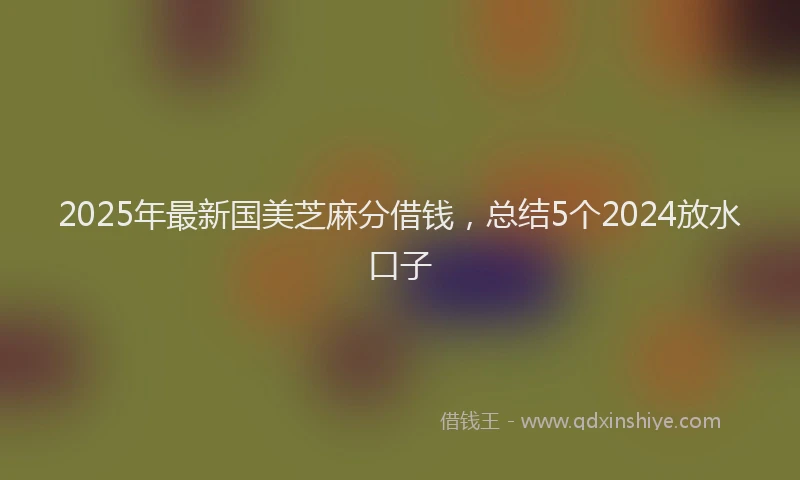 2025年最新国美芝麻分借钱，总结5个2024放水口子