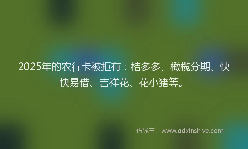 2025年的农行卡被拒有：桔多多、橄榄分期、快快易借、吉祥花、花小猪等。