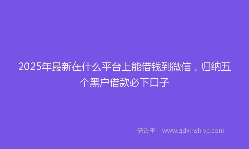 2025年最新在什么平台上能借钱到微信，归纳五个黑户借款必下口子