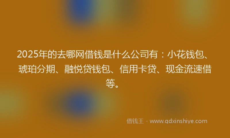 2025年的去哪网借钱是什么公司有：小花钱包、琥珀分期、融悦贷钱包、信用卡贷、现金流速借等。