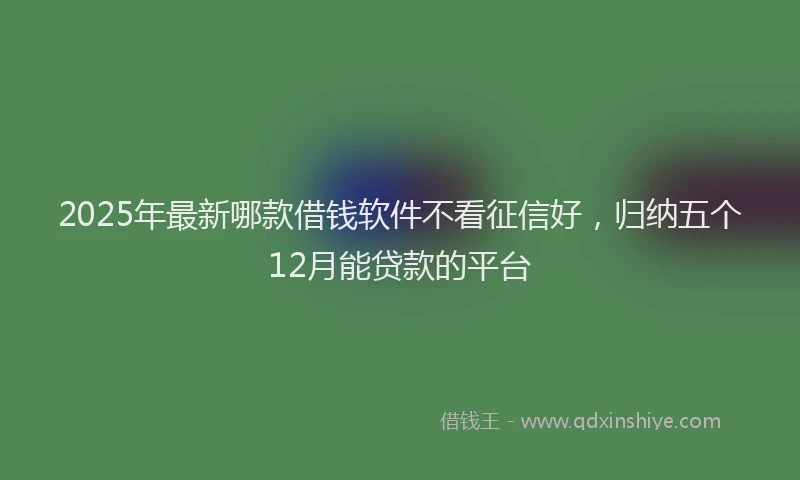 2025年最新哪款借钱软件不看征信好，归纳五个12月能贷款的平台
