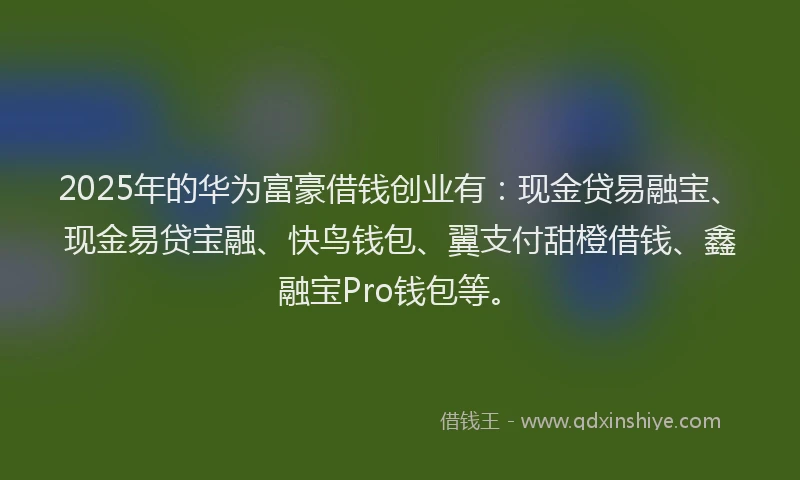 2025年的华为富豪借钱创业有：现金贷易融宝、现金易贷宝融、快鸟钱包、翼支付甜橙借钱、鑫融宝Pro钱包等。