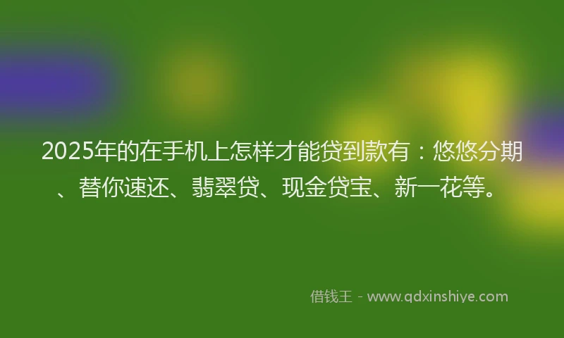 2025年的在手机上怎样才能贷到款有：悠悠分期、替你速还、翡翠贷、现金贷宝、新一花等。