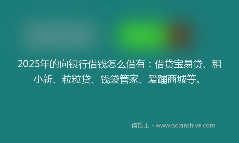 2025年的向银行借钱怎么借有：借贷宝易贷、租小新、粒粒贷、钱袋管家、爱蹦商城等。