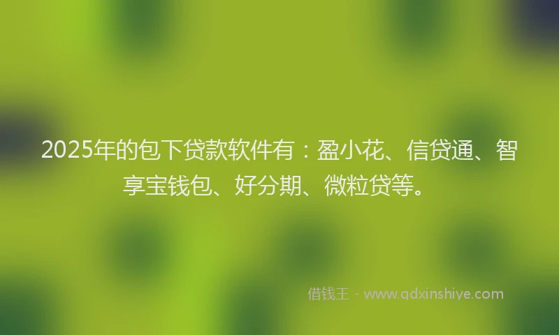 2025年的包下贷款软件有：盈小花、信贷通、智享宝钱包、好分期、微粒贷等。