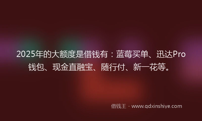 2025年的大额度是借钱有：蓝莓买单、迅达Pro钱包、现金直融宝、随行付、新一花等。