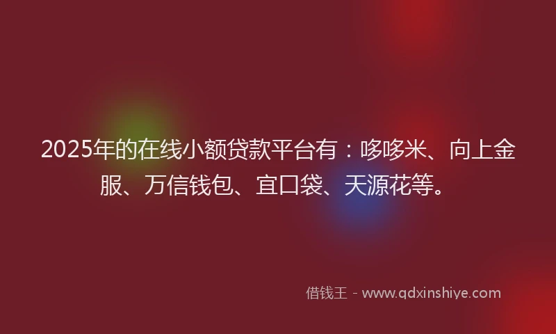 2025年的在线小额贷款平台有：哆哆米、向上金服、万信钱包、宜口袋、天源花等。