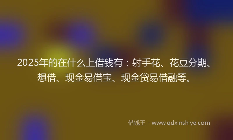 2025年的在什么上借钱有：射手花、花豆分期、想借、现金易借宝、现金贷易借融等。