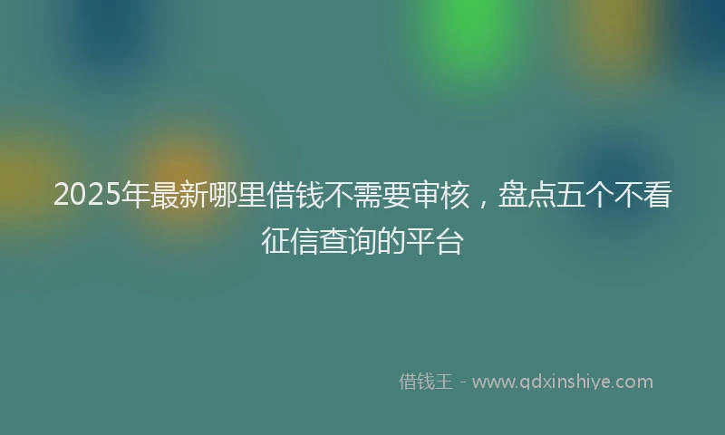 2025年最新哪里借钱不需要审核，盘点五个不看征信查询的平台