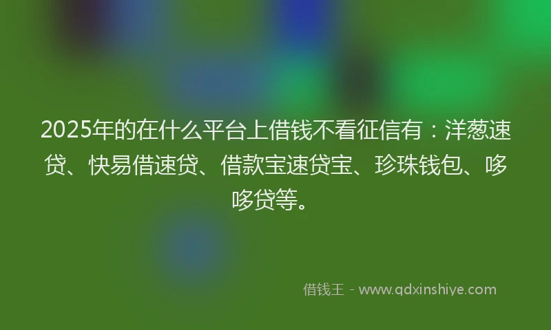2025年的在什么平台上借钱不看征信有：洋葱速贷、快易借速贷、借款宝速贷宝、珍珠钱包、哆哆贷等。