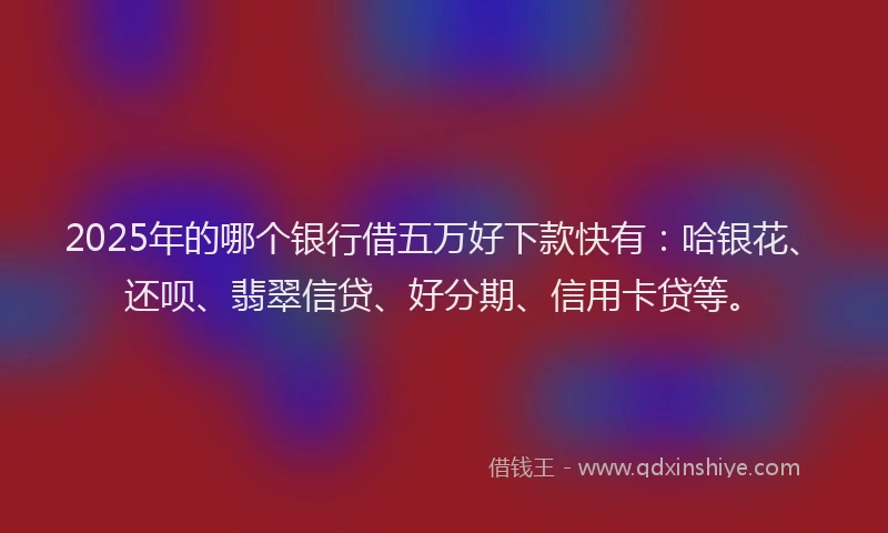 2025年的哪个银行借五万好下款快有：哈银花、还呗、翡翠信贷、好分期、信用卡贷等。