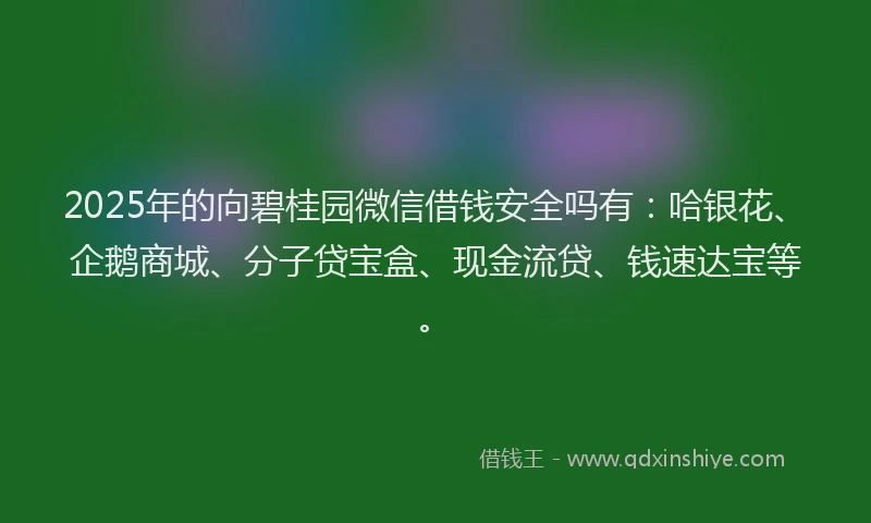 2025年的向碧桂园微信借钱安全吗有：哈银花、企鹅商城、分子贷宝盒、现金流贷、钱速达宝等。