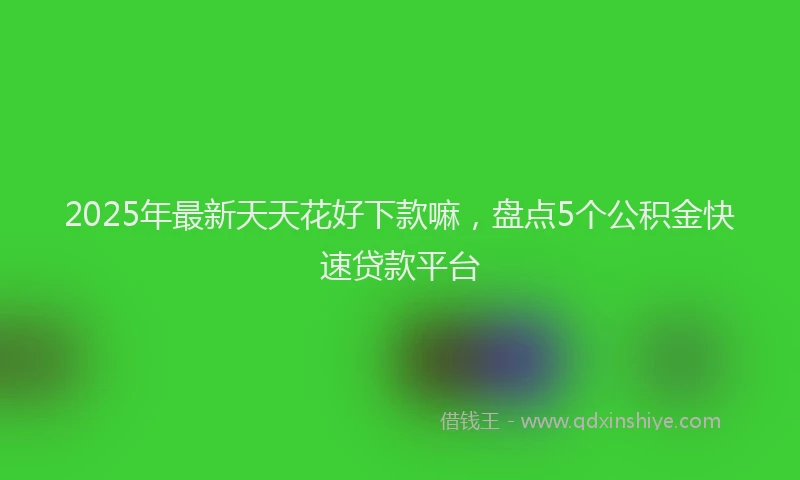 2025年最新天天花好下款嘛，盘点5个公积金快速贷款平台