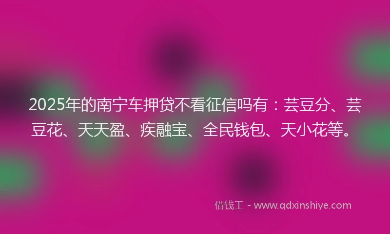 2025年的南宁车押贷不看征信吗有：芸豆分、芸豆花、天天盈、疾融宝、全民钱包、天小花等。