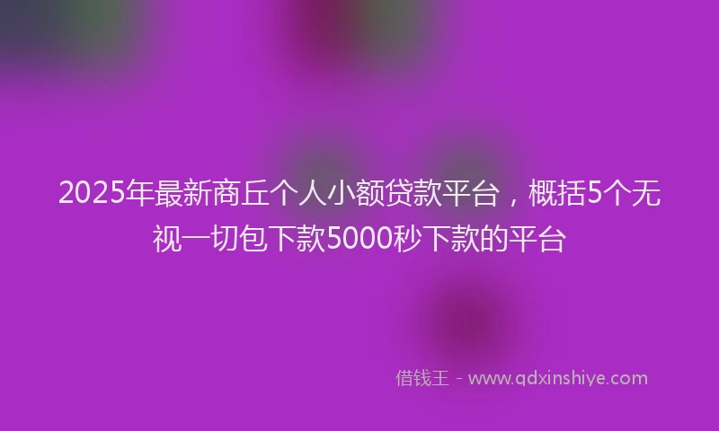2025年最新商丘个人小额贷款平台，概括5个无视一切包下款5000秒下款的平台