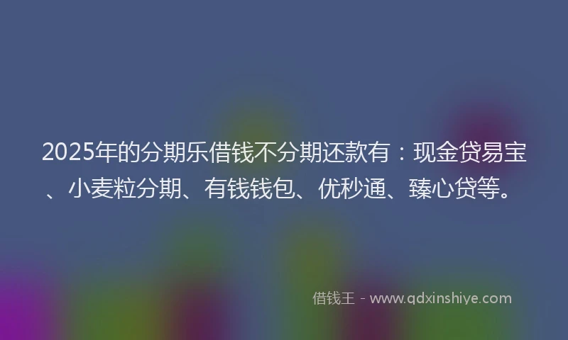 2025年的分期乐借钱不分期还款有：现金贷易宝、小麦粒分期、有钱钱包、优秒通、臻心贷等。