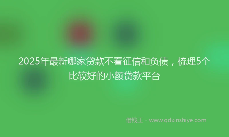 2025年最新哪家贷款不看征信和负债，梳理5个比较好的小额贷款平台