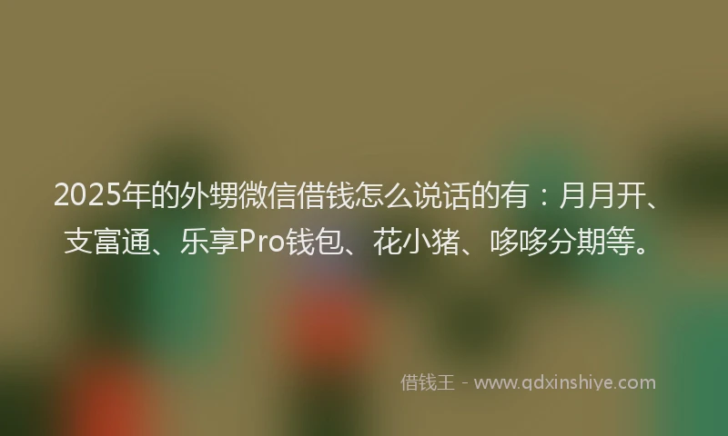 2025年的外甥微信借钱怎么说话的有：月月开、支富通、乐享Pro钱包、花小猪、哆哆分期等。