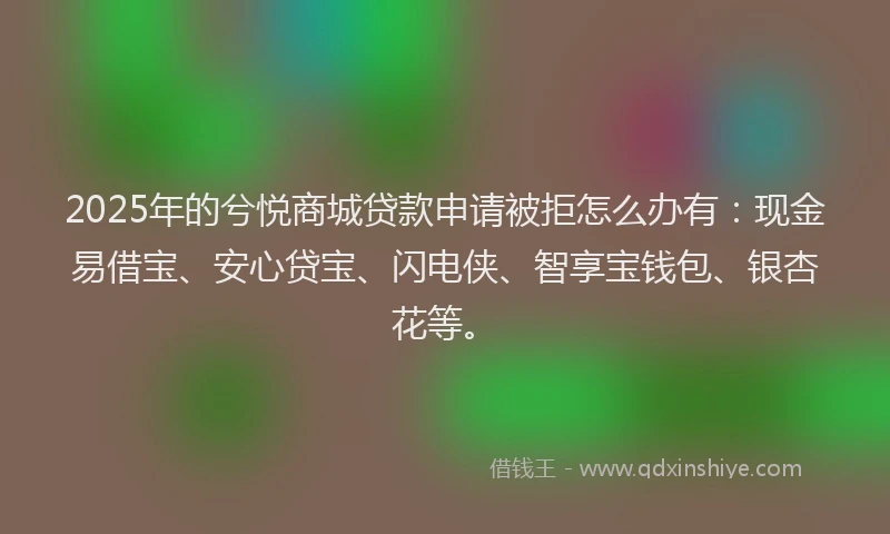 2025年的兮悦商城贷款申请被拒怎么办有：现金易借宝、安心贷宝、闪电侠、智享宝钱包、银杏花等。