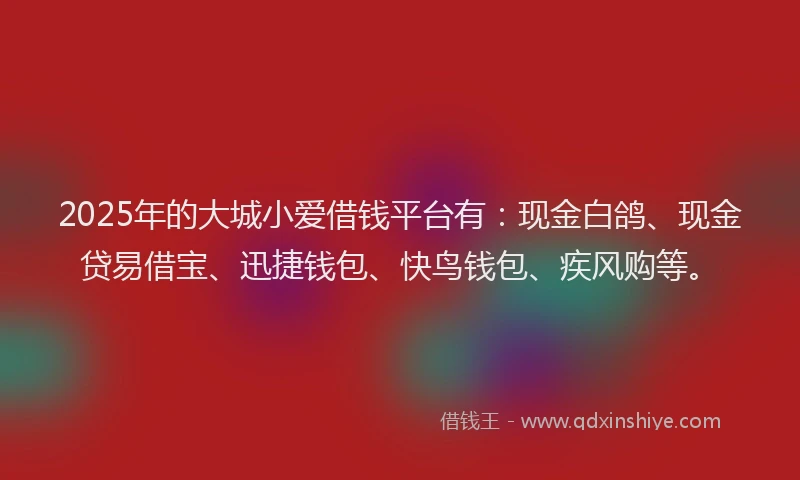 2025年的大城小爱借钱平台有：现金白鸽、现金贷易借宝、迅捷钱包、快鸟钱包、疾风购等。