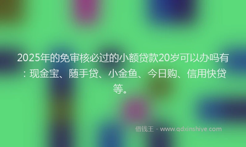 2025年的免审核必过的小额贷款20岁可以办吗有：现金宝、随手贷、小金鱼、今日购、信用快贷等。