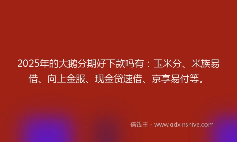 2025年的大鹅分期好下款吗有：玉米分、米族易借、向上金服、现金贷速借、京享易付等。