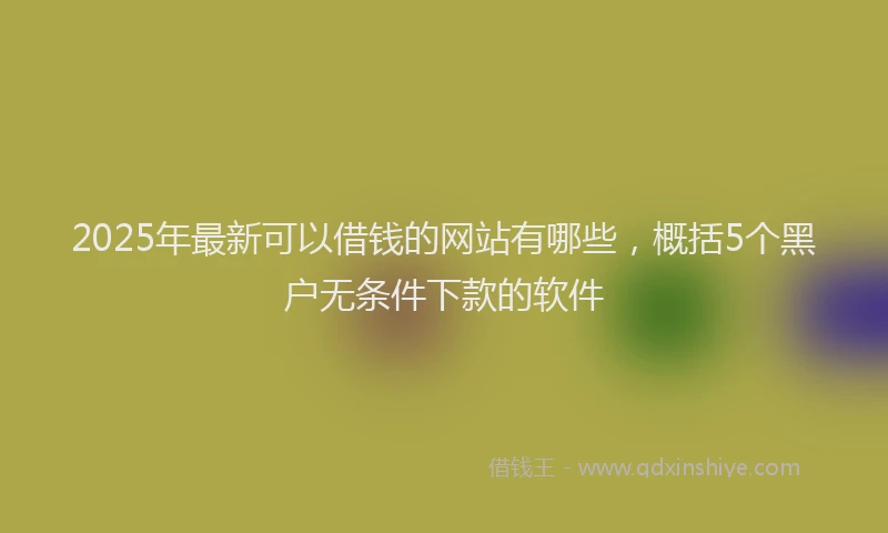 2025年最新可以借钱的网站有哪些，概括5个黑户无条件下款的软件